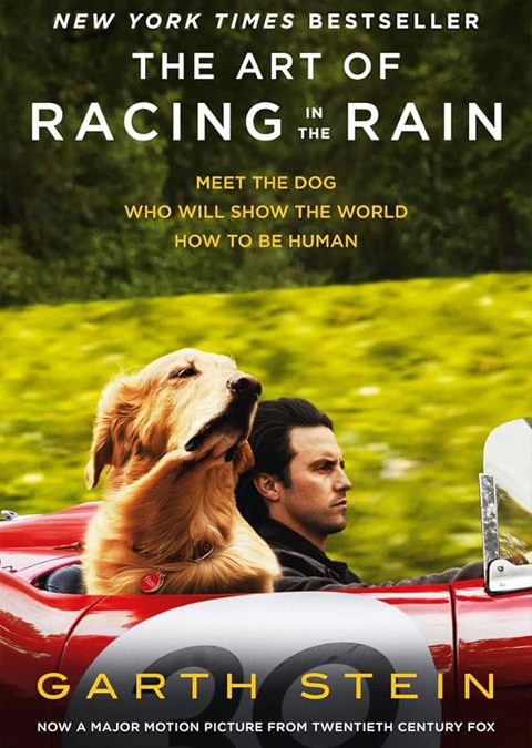 The Art of Racing in the Rain